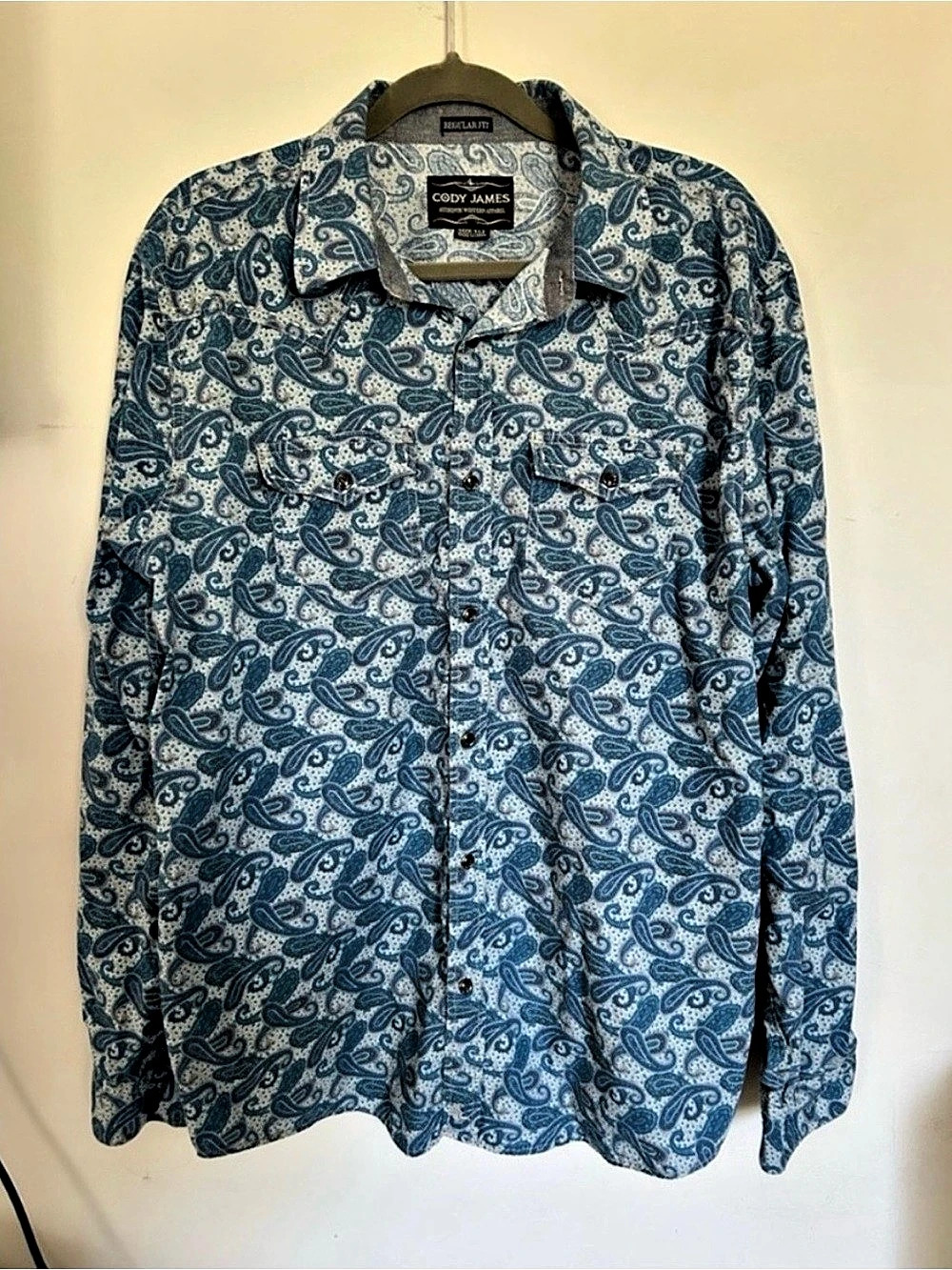 Cody James Paisley Cotton Button Down Shirt Size XL
